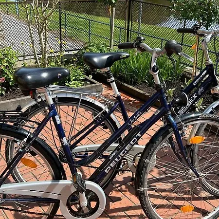 Rosengarten Gerlinde Appartamento Stadt Wehlen